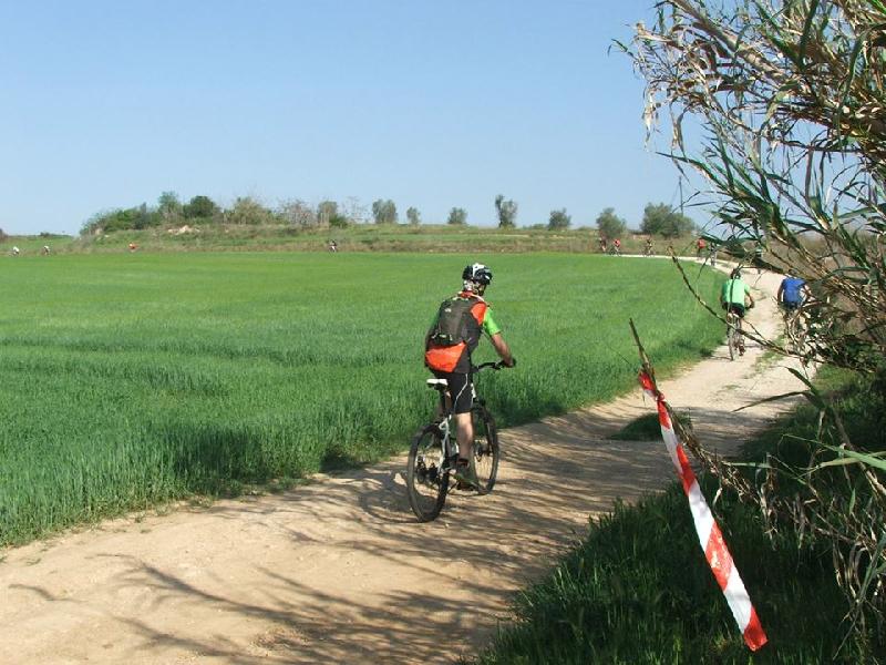 duatlo 2014