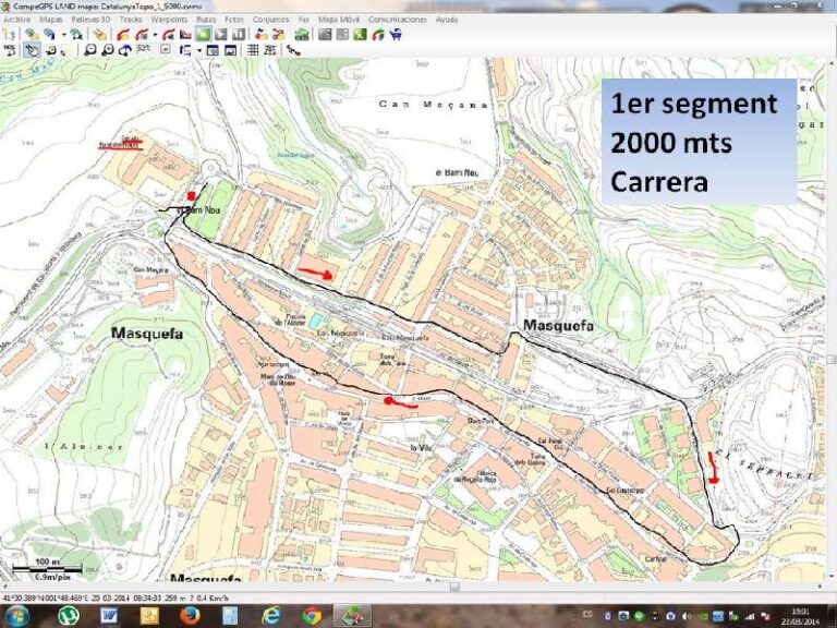 1 segment