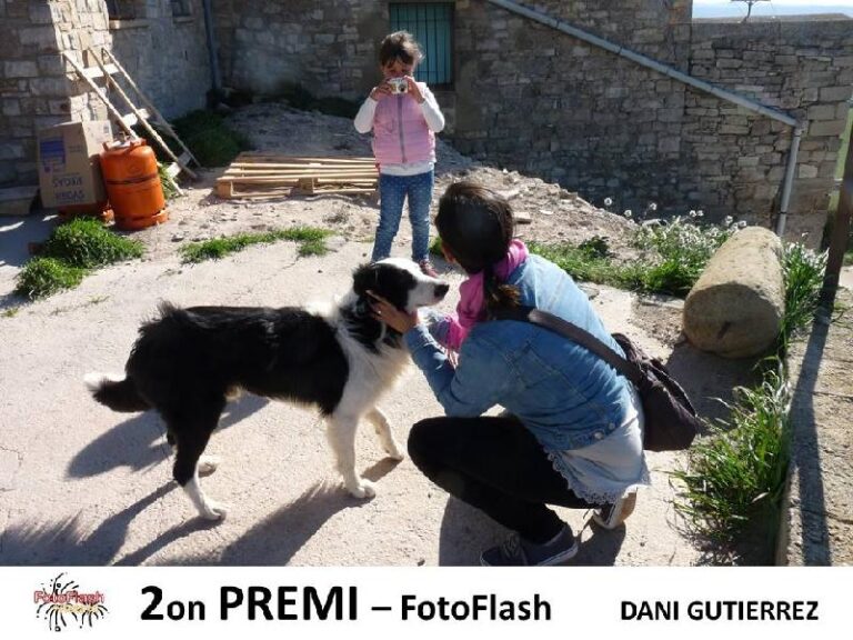 fotoflash