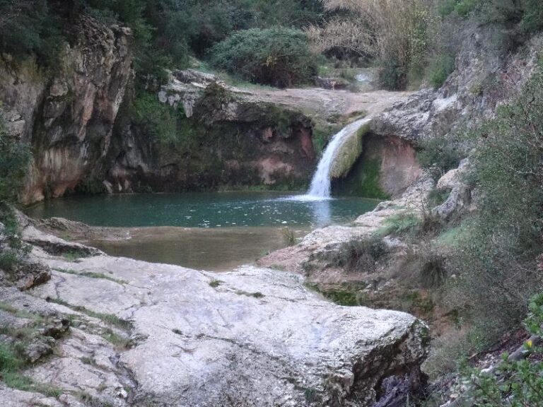 riera carme