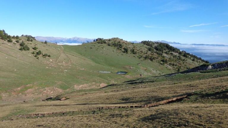 Torrent de roset