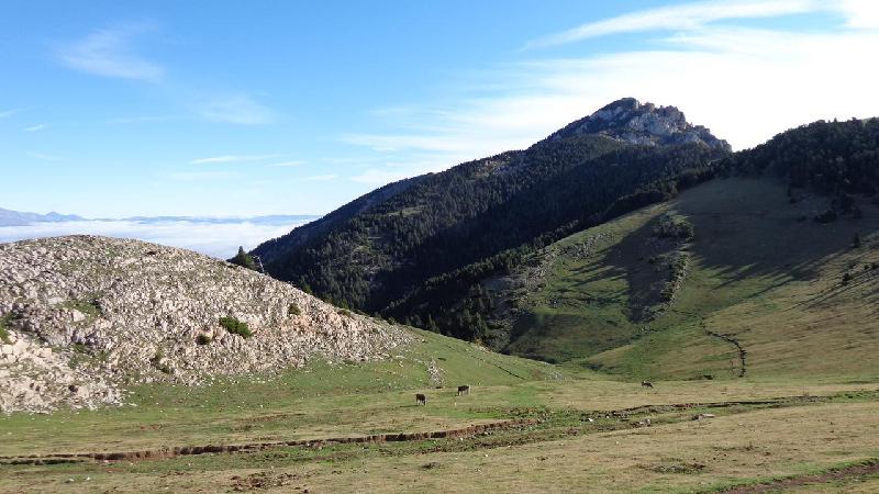 penyes altes