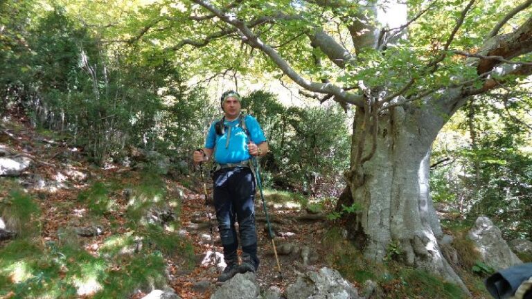 boscos de la canal de la serp