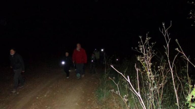 castanyada 2012
