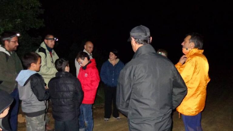 castanyada 2012