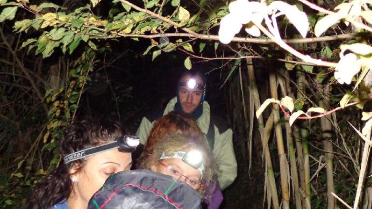 castanyada 2012