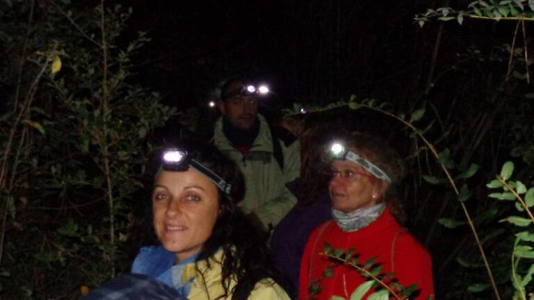 castanyada 2012