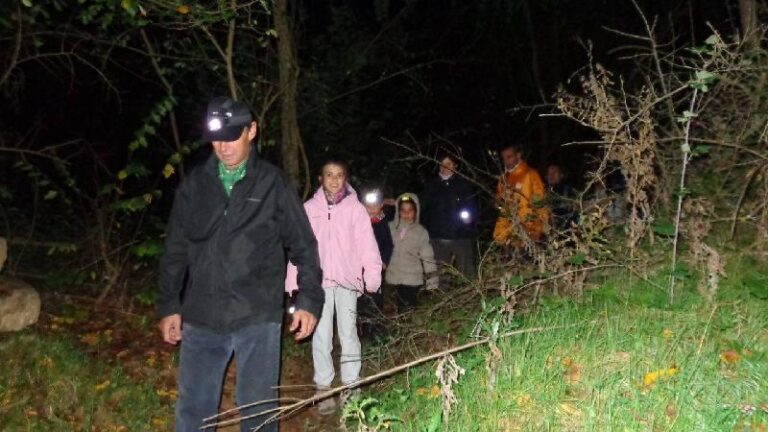 castanyada 2012