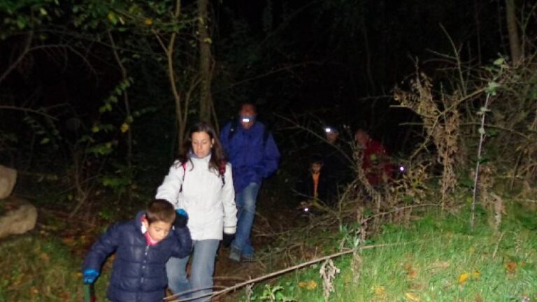 castanyada 2012