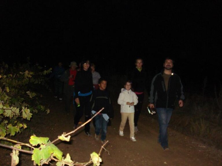 castanyada 2011
