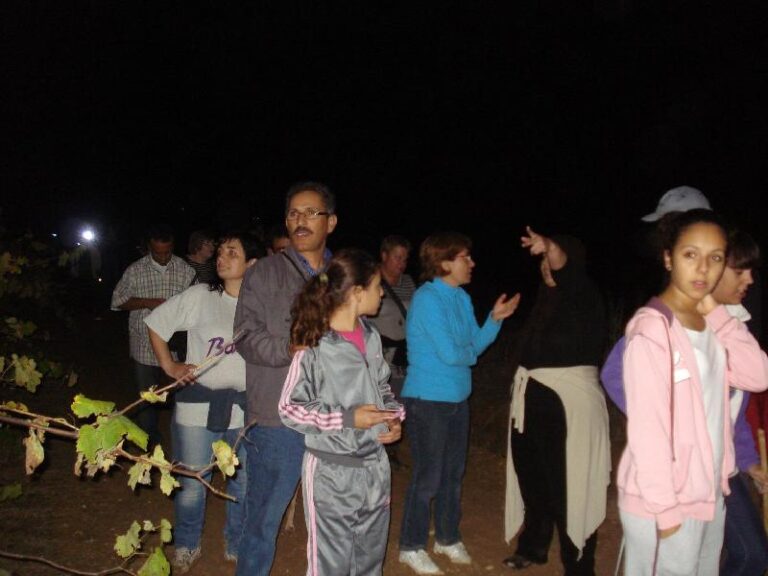 castanyada 2011