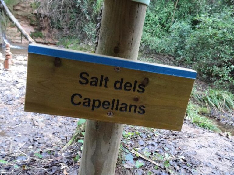 salts