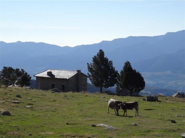 serra del sirvent