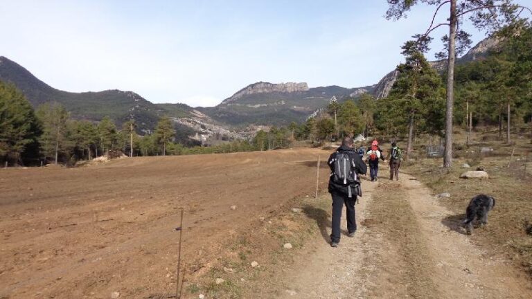 Arribant a la Nou