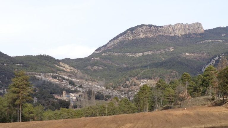 Arribant a la Nou