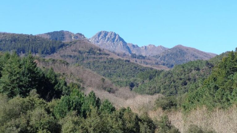 Vista de Les agudes