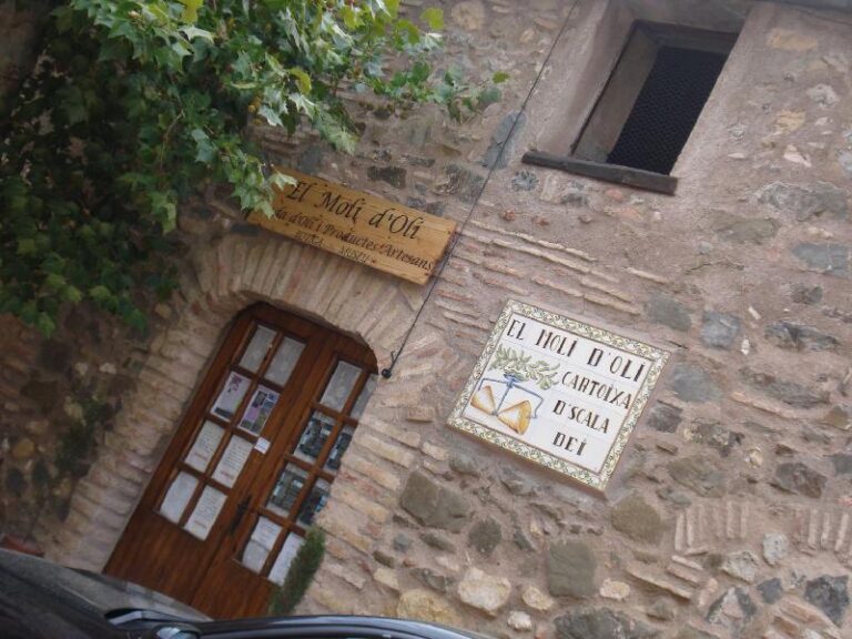 Mol? d'oli