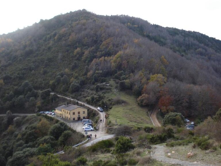 Vista de Collformic