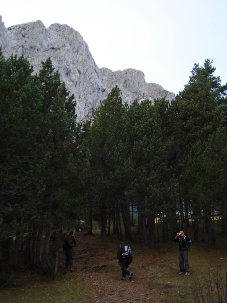 Arribant al refugi