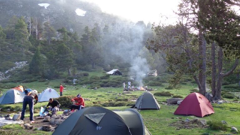 canigo 2013