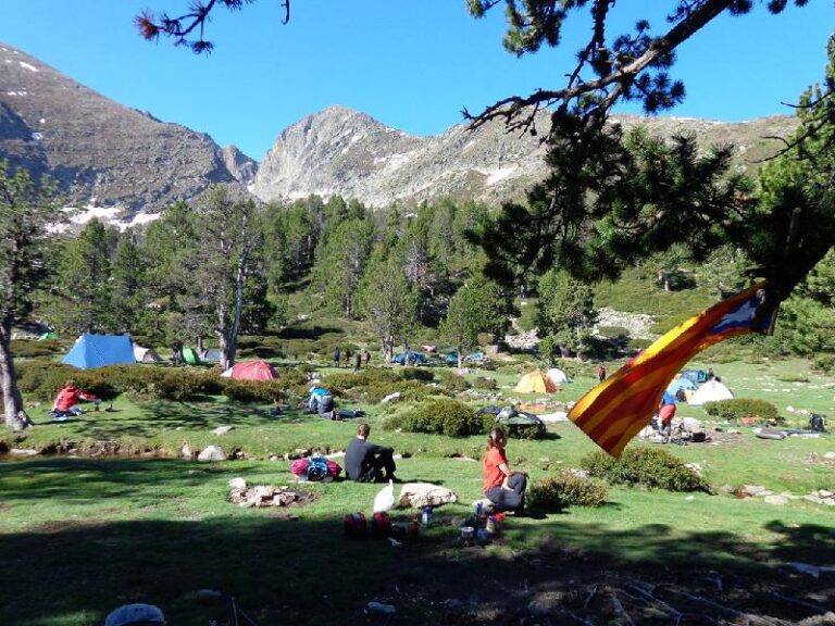 canigo 2013