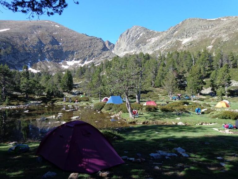 canigo 2013