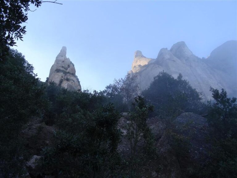 montgros