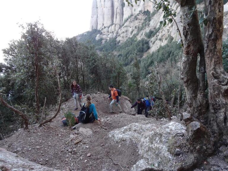 montgros