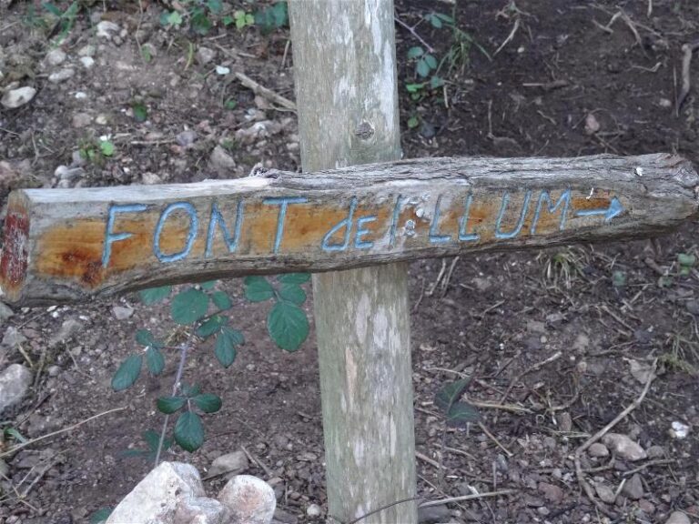 montgros