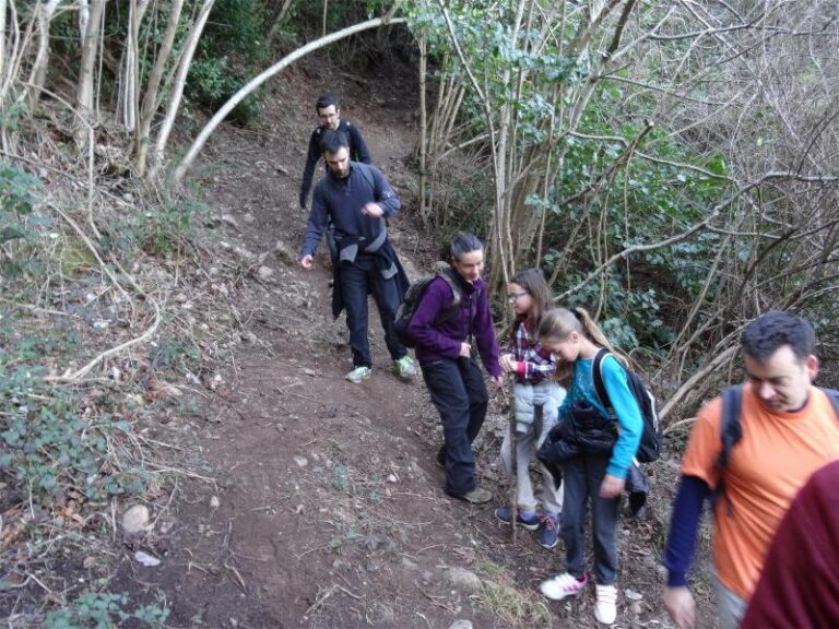 montgros