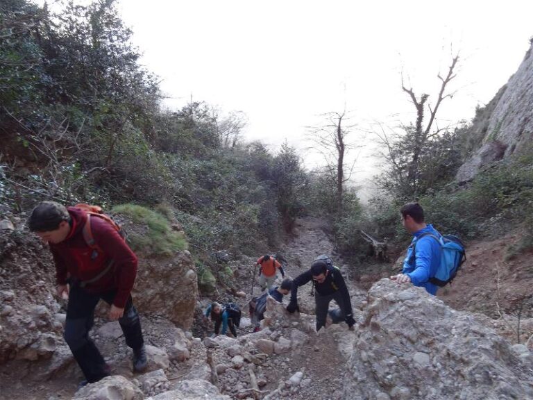 montgros