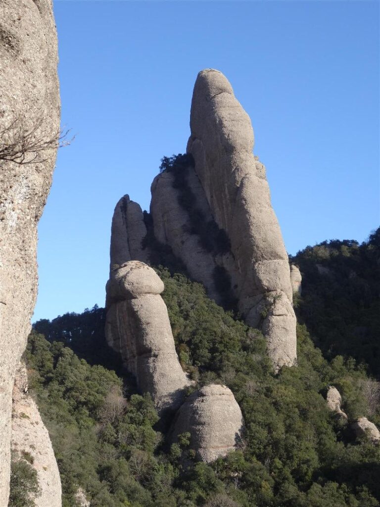 montgros