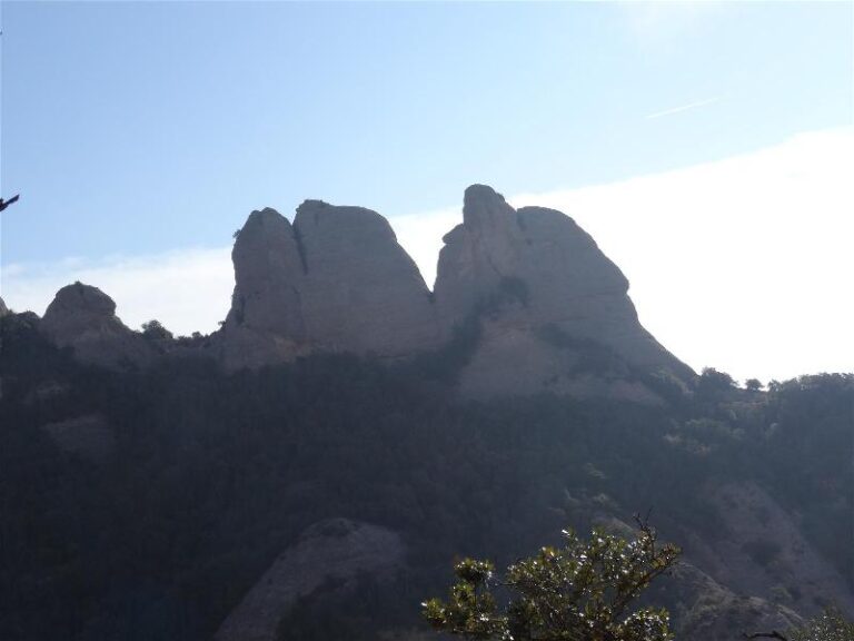 montgros