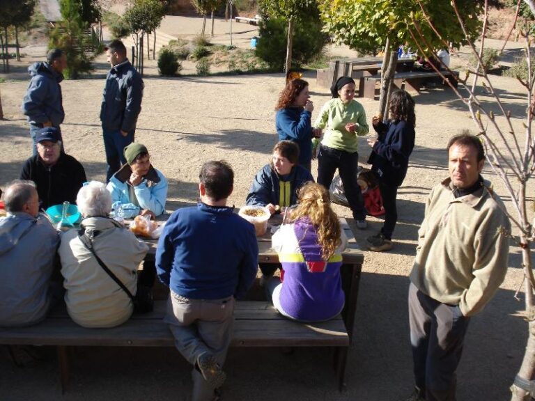 Dinar 4