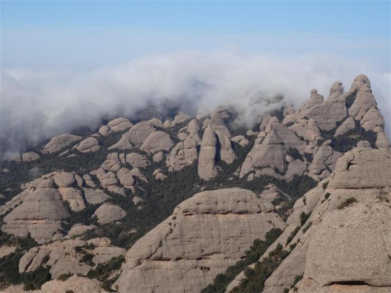 montgros