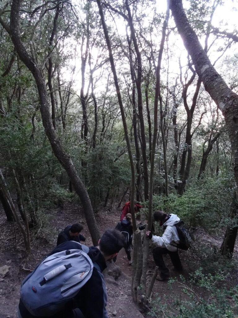 montgros
