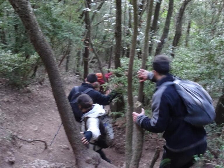 montgros