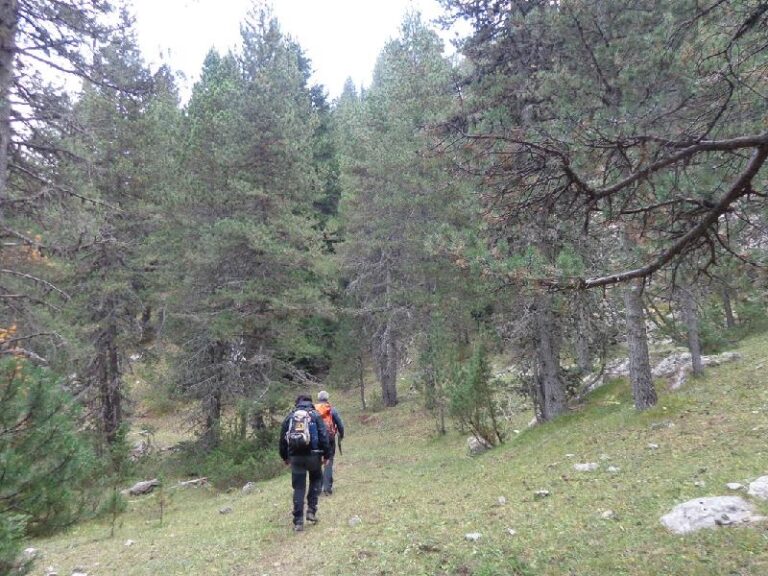 serra del cadi
