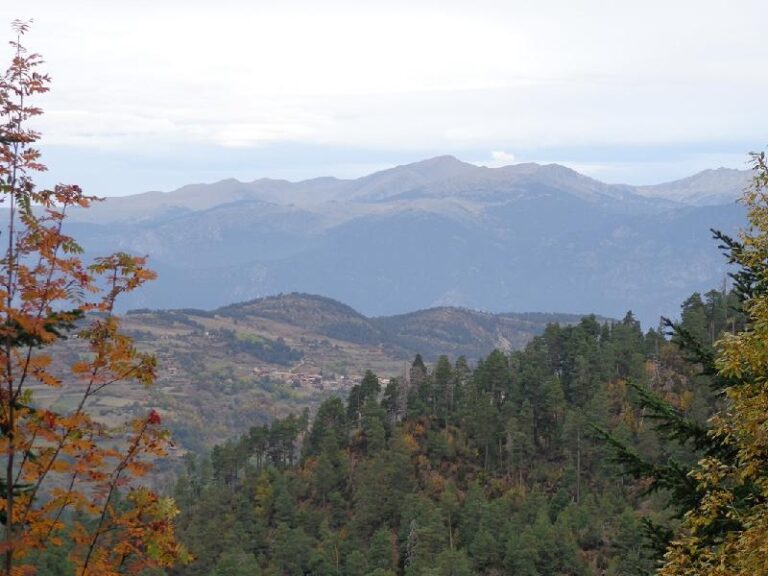 estana