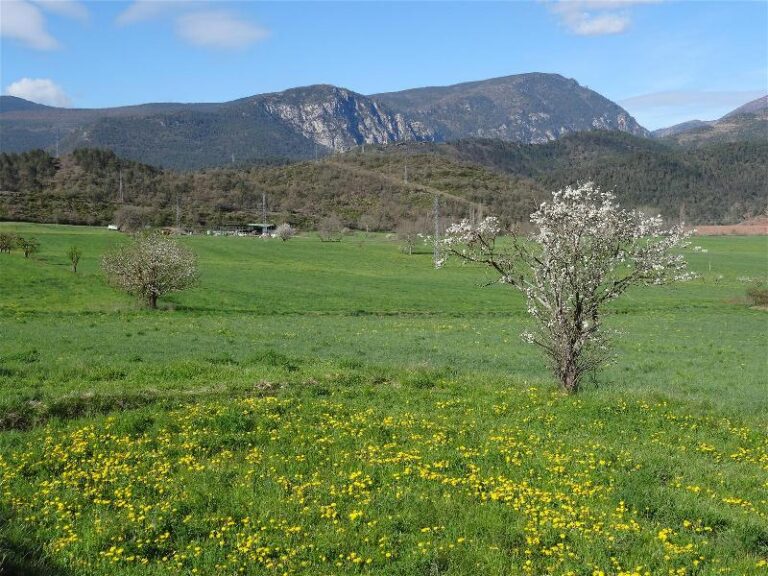 els portarrons