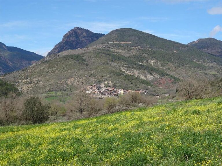 els portarrons
