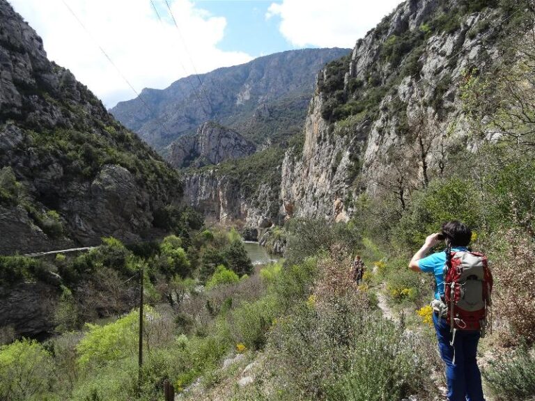 els portarrons