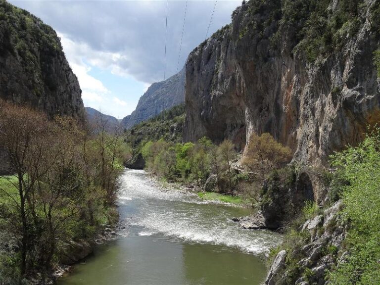 els portarrons