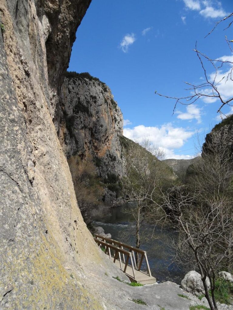 els portarrons