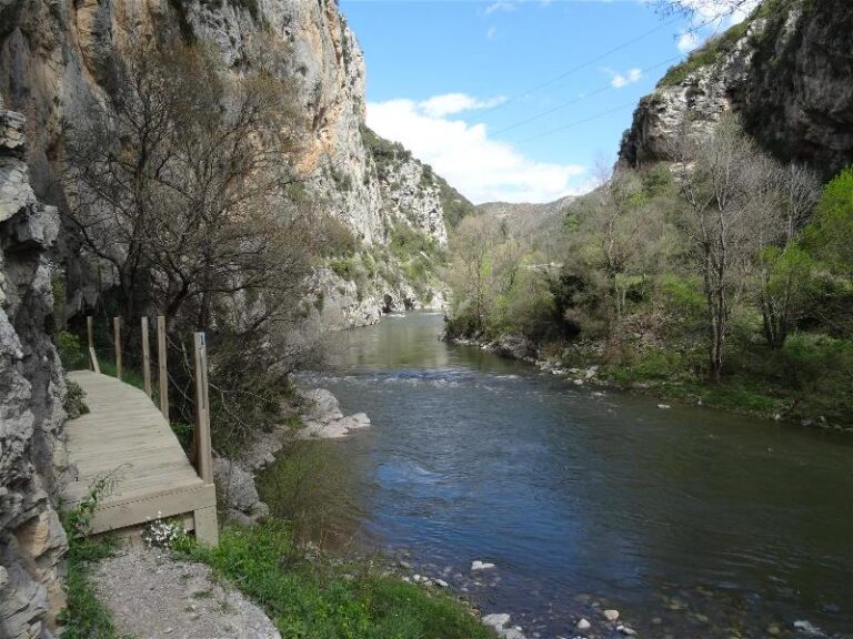 els portarrons