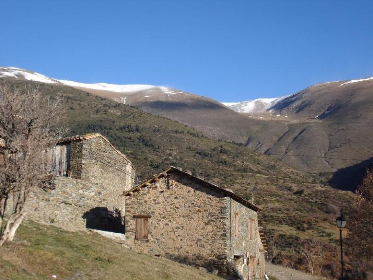 Dorria
