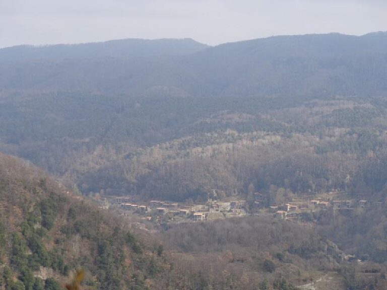 tavertet rupit