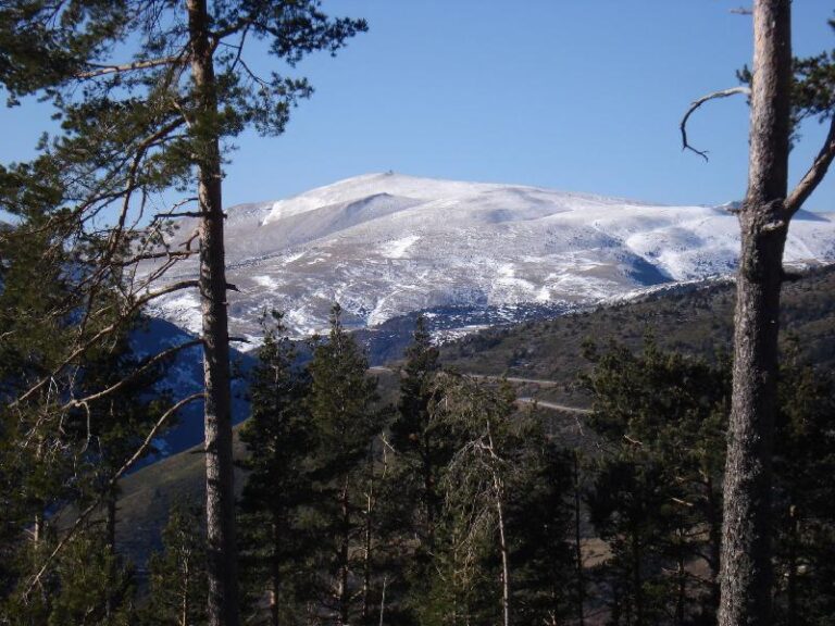 Zona de La Molina