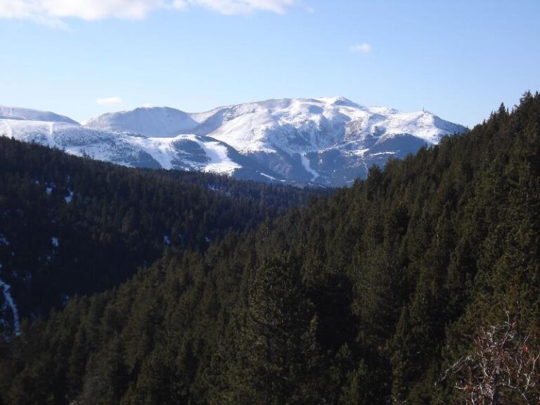 Tosa d'Alp