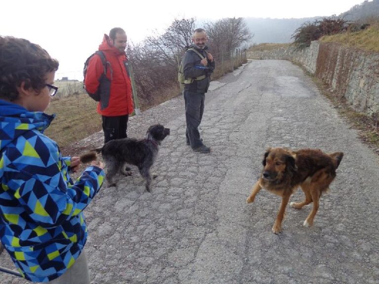tavertet rupit